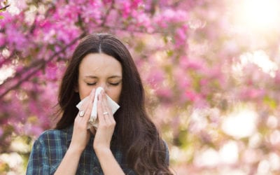 How to Alleviate Spring Allergies