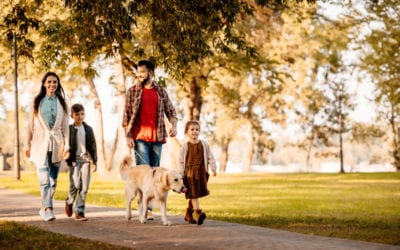 The Diabetes Wellness Fair is for Everyone, Not Only Those with Diabetes