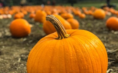 Skip the Latte, Enjoy Pumpkin the Healthy Way